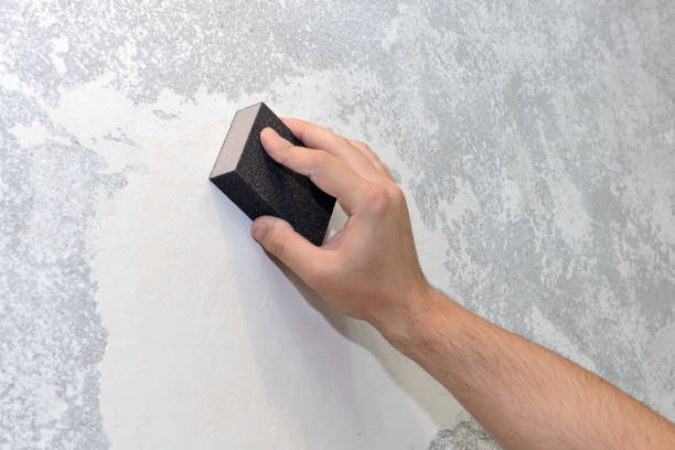 Best Mold Removal for HVAC Installations  in Osburn, ID