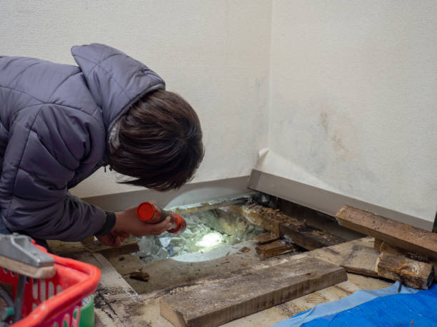 Best Indoor Air Quality Assessment  in Osburn, ID