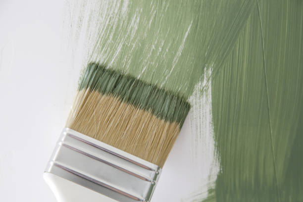 Best Mold Documentation for Insurance Claims  in Osburn, ID