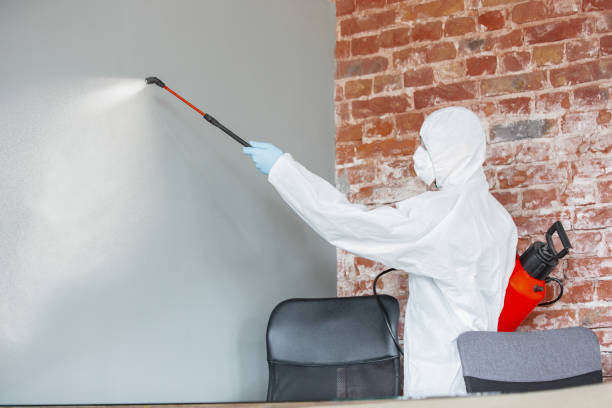 Mold Removal for HVAC Installations in Osburn, ID