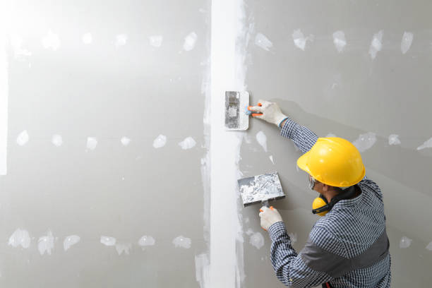 Osburn, ID Mold Removal Pros