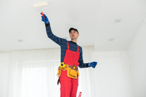 Best Asbestos and Lead Testing During Mold Inspection  in Osburn, ID