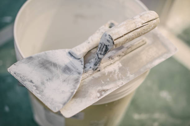 Best Crawl Space Mold Remediation  in Osburn, ID