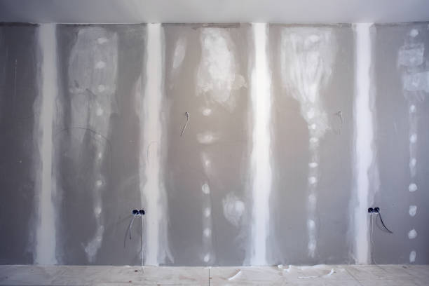 Best Black Mold Removal  in Osburn, ID