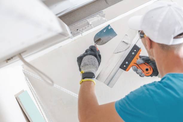 Best Attic Mold Removal  in Osburn, ID